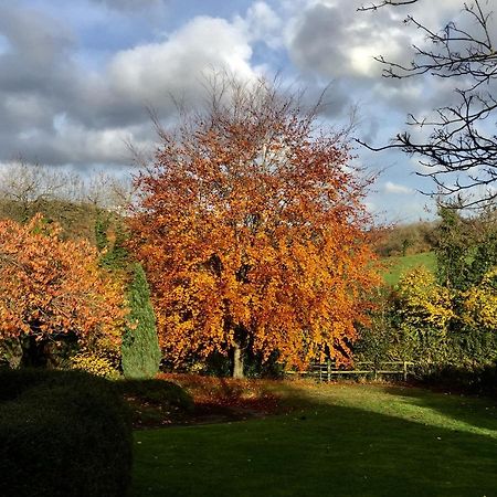 Valley View Farm, Batcombe Bed and Breakfast Shepton Mallet Exteriör bild