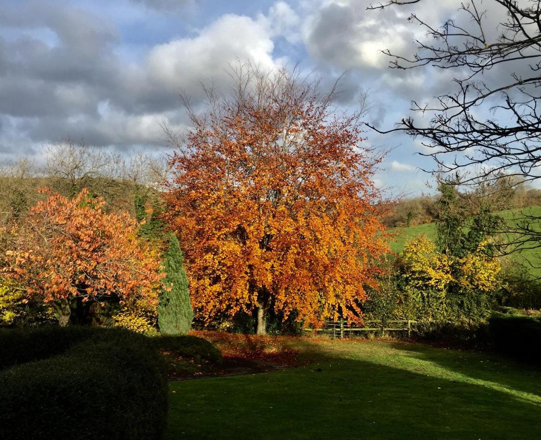 Valley View Farm, Batcombe Bed and Breakfast Shepton Mallet Exteriör bild