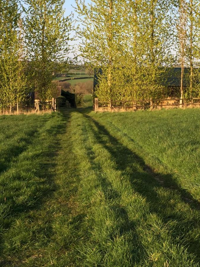 Valley View Farm, Batcombe Bed and Breakfast Shepton Mallet Exteriör bild